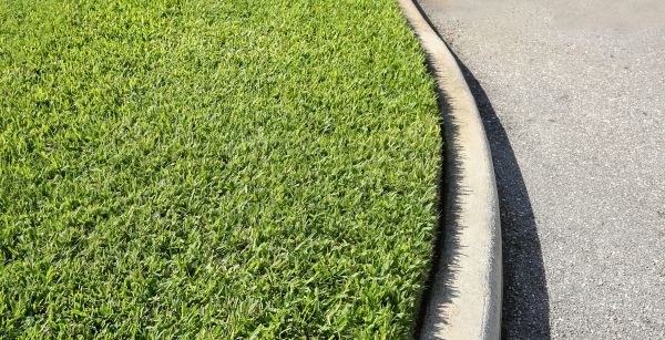 Cost of Street Curb Repair in Anderson
