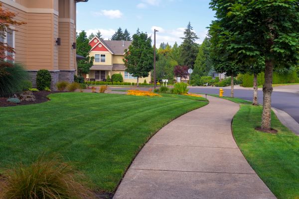 Cost of Sidewalk Patching in Anderson