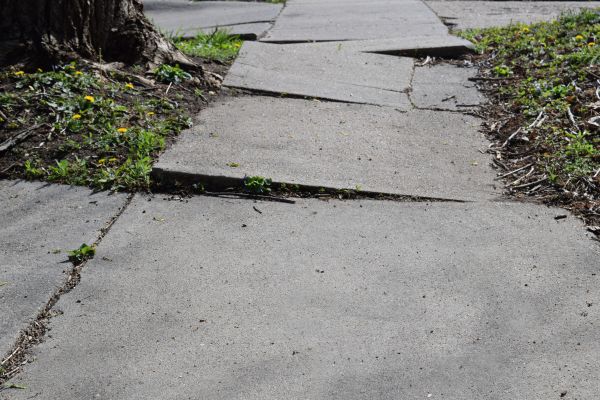 Trip Hazard Removal Service
